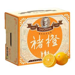 褚橙 褚氏农业 褚橙 单果果重105-140g 5kg 礼盒装