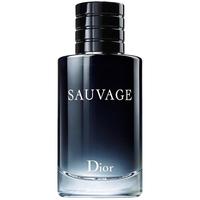 Dior 迪奥 旷野男士淡香水 EDT