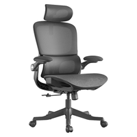 黑白调P2 Pro人体工学椅电脑椅办公椅人工力学座椅宿舍学习电竞椅子久坐