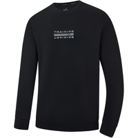 特步卫衣圆领男秋季长袖休闲运动上衣976329920128 正黑色 L