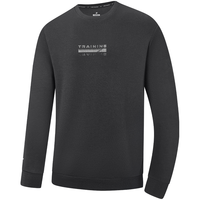 特步卫衣圆领男秋季长袖休闲运动上衣976329920128 瓦罐灰 L