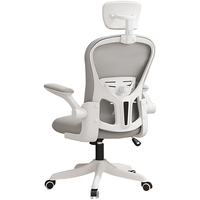班贝悠人体工学椅电脑椅家用久坐舒适学习椅办公椅电竞椅宿舍椅座椅 状元椅 灰 4D腰靠+带头枕+乳胶坐垫+逍遥后仰