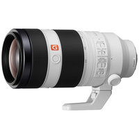 索尼(SONY) 大三元镜头 全画幅变焦 G大师微单镜头 a7m4/a7m3/a7r5/a7s3等 100-400 GM远摄变焦镜头 套装四