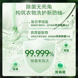 立白 Liby 卫仕洗衣机槽清洗剂除菌液清洁剂杀菌深层清洁除垢剂2.16斤