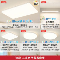 雷士 NVC 全光谱护眼智能吸顶防蚊虫灯具 三室两厅带餐吊