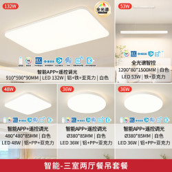 雷士 NVC 全光谱护眼智能吸顶防蚊虫灯具 三室两厅带餐吊