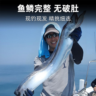 带鱼礼盒新鲜冷冻刀鱼小眼钓带特级大整条海钓海鲜大礼包送长辈