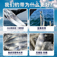 带鱼礼盒新鲜冷冻刀鱼小眼钓带特级大整条海钓海鲜大礼包送长辈