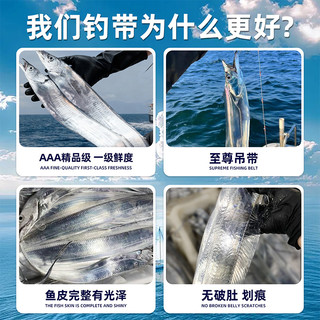 带鱼礼盒新鲜冷冻刀鱼小眼钓带特级大整条海钓海鲜大礼包送长辈