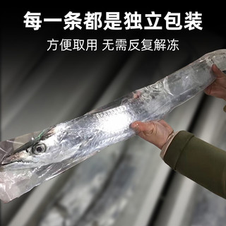 带鱼礼盒新鲜冷冻刀鱼小眼钓带特级大整条海钓海鲜大礼包送长辈