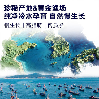 带鱼礼盒新鲜冷冻刀鱼小眼钓带特级大整条海钓海鲜大礼包送长辈