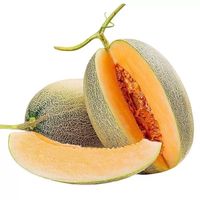 今日必买：小博生鲜 哈密瓜西州蜜25号 净重4.5-5斤/1-3个