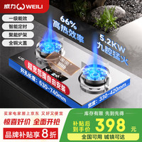 威力 燃气灶煤气灶双灶家用鸳鸯灶    煤气罐/液化气