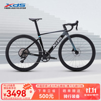 喜德盛 公路车自行车2025款AD350骑行运动成人青少年学生变速功率计单车 鸽子灰 12速 480mm