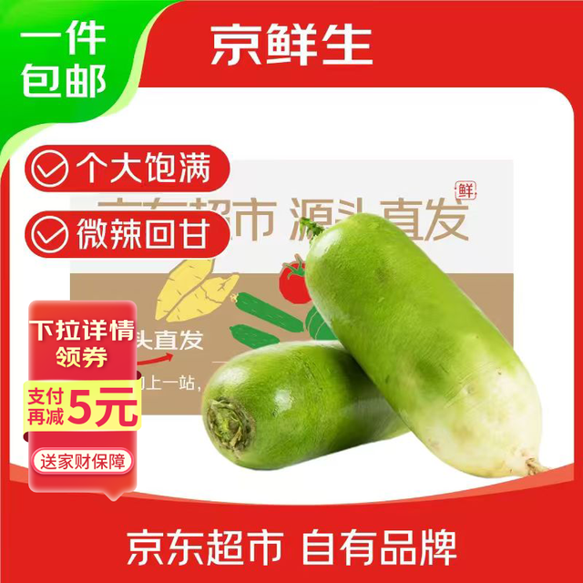 京鲜生 山东新鲜沙地青萝卜 净重4.5斤装 单果约300g+ 新鲜蔬菜 源头直发