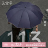 天堂 伞三折加固加厚雨伞便携强效拒水晴雨伞定制商务伞男女 藏青（10骨双人大伞）