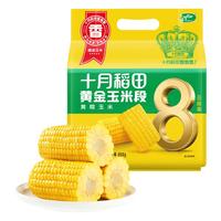 十月稻田 黄金玉米段8段 800g 东北黄糯玉米 23年黏糯玉米棒 低脂杂粮