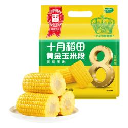 十月稻田 黄金玉米段8段 800g 东北黄糯玉米 23年黏糯玉米棒 低脂杂粮
