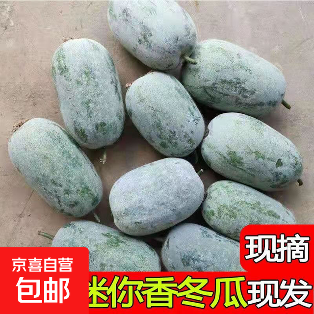 今日必买、有券的上：京喜 挂霜翠玉 高原迷你冬瓜 9斤 带箱 新鲜蔬菜