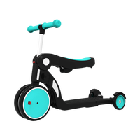 Bebehoo DGN5-1 五合一多功能变形童车