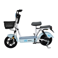 飞鸽 FLYING PIGEONE75智能电动自行车45公里长续航电动车铅酸电池48V12Ah电瓶车新国标上班代步小电驴源彩星黛蓝