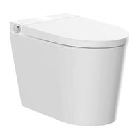 东鹏 雪宝小户型智能马桶坐便器自动冲水加热翻盖无水压限制内置带水箱 性价比-轻智能P9E