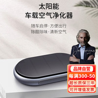普利邦 PULEEBUMG 太阳能车载空气净化器汽车内用消除异味除甲醛负离子氧吧汽车净化器