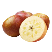 京觅 威宁丑苹果 5斤单果70mm+ 约13-17个 源头直发 新鲜水果