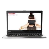 TOSHIBA 东芝 M40-AT01S1 14.0英寸 笔记本电脑 银色(酷睿i5-4200U、710M、4GB、500GB HDD、720P)