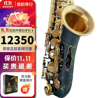 艾贝尔 Abell AT05 黑金款 降b调次中音萨克斯（原装笛头 哨卡 哨片 背带 牙垫 通条布 擦琴布 保修卡 箱包）