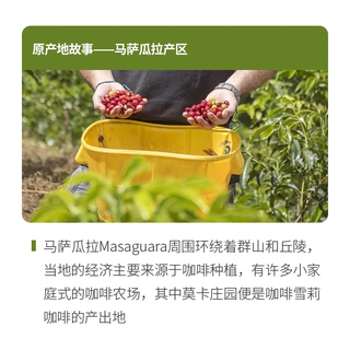 野鸽子雪莉咖啡豆洪都拉斯 精品手冲阿拉比卡美式黑咖啡浅度烘焙 雪莉.威士忌口感