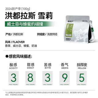 野鸽子雪莉咖啡豆洪都拉斯 精品手冲阿拉比卡美式黑咖啡浅度烘焙 雪莉.威士忌口感