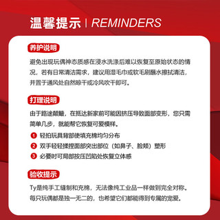 TY大眼毛绒玩偶儿童猴小姐娜迪亚36184安抚陪伴
