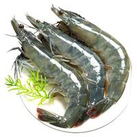 大虾鲜活超大白虾特大厄瓜多尔大虾冷冻鲜对虾速冻海虾虾类海鲜虾