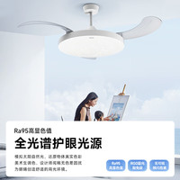 松下 Panasonic 风扇灯IP40全光谱护眼76瓦LED照明42寸风扇灯 HHLZ5000