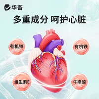 华畜 huaxu 宠物辅酶Q10狗猫保护心脏肥厚病老年犬心衰心肌养护强健营养保健