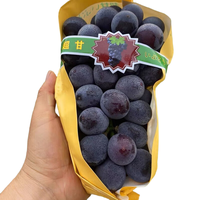 CAi FAN 采蘩 巨峰葡萄新鲜现摘大葡萄一整串当季孕妇水果 2斤