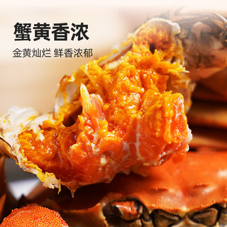 【活蟹】鲜京采鲜活大闸蟹 全母蟹3.8两 4对8只 去绳足重 蟹类螃蟹河蟹生鲜礼盒