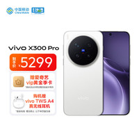 vivo X300 Pro 5G手机 12GB+256GB 简单白