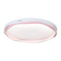 Panasonic 松下 明桐系列 HHLA1759 LED吸顶灯 19W