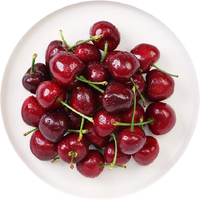 京觅 智利 车厘子 J级 单果果径26-28mm 450g