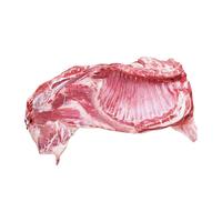 抱年羊肉新鲜现杀宁夏滩羊肉礼盒10斤羊排羊腿整半只带皮年货 半只羊10斤装