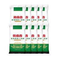 冀南香 富强高筋小麦粉