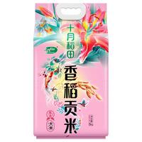 十月稻田 香稻贡米 东北大米 10斤 香米 粳米