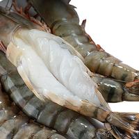 【交个朋友】 北海湾选黑虎虾600g*3盒/3.6斤单只冻老虎虾Q弹