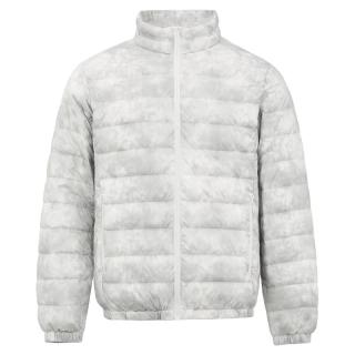 百亿补贴：雪中飞 年秋季立领轻薄短款保暖男款羽绒服反季甩卖