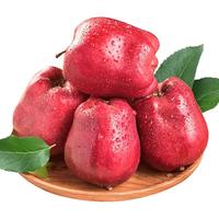 京鲜生 甘肃天水花牛苹果 3kg 单果230g起 粉面香甜 源头直发 净重4.5斤 单果230g+