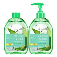  海氏海诺 芦荟抑菌洗手液  500ml*2