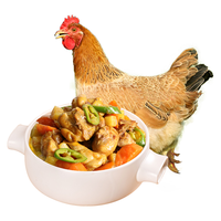 WENS 温氏 天露三黄鸡 800g