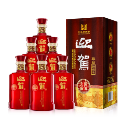 迎驾贡酒 YJGJ 淮南子 尊品 42度 浓香型白酒 450ml*6瓶